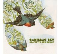 Gravity's Our Enemy by Cadillac Sky (2008) Audio CD