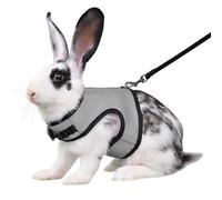 Gray Bunny Harness and Leash, Escape Proof Rabbit Harness and Leash Set, Cute Bunnies Vest Clothes Stuff Accessories - Suit for 2-3months Young Rabbit, 2-4months Ferret, 3-5months Guinea Pig, M