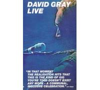 Gray David - David Gray: Live At The Point