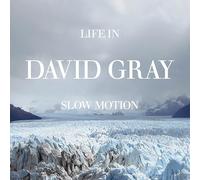 Gray, David - Life in Slow Motion -20th Anniversary Edition- (Col.Lp) [VINYL]