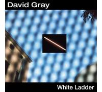 Gray, David - White Ladder