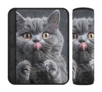 Gray English Shorthair Cat 2 pcs seat Belt Shoulder Pads for Adults Release Stress to Your Neck and Shoulders for SUV Protector para cinturón de carro