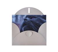 Gray Envelope Greeting Cards With Unique Majestic Cat Pattern For Write Down Your Blessings For Various Holidays