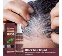 Gray Hair Reverse Spray - Darkening Conditioner, Natural Pigment Solution for Coloring, Nourishing Moisturizing Mist, Botanical Liquid Base with Extracts, Hair Care Kit for Darkening