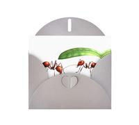 Gray Holiday greeting check blank card and pearl beautiful blank note block VVXBHGR Little ants hiding from the rain Pattern