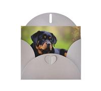 Gray JKIEGOQ rottweiler wallpaper Prints Greeting Card 4 x 6 in for Christmas, Valentine's Day, Wedding, Party Invitation Cards