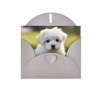 Gray MJHKXLJ Cute Maltese Puppy Prints Pearlized Greeting Card - Envelope Included - Perfect for Christmas, Birthdays, Valentines, Weddings, and More
