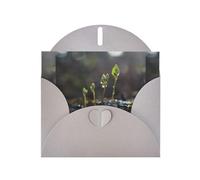 Gray MJHKXLJ Young sprouts in the rainy season Prints Pearlized Greeting Card - Envelope Included - Perfect for Christmas, Birthdays, Valentines, Weddings, and More