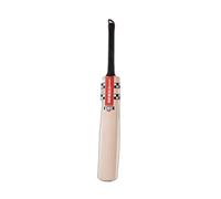 Gray-Nicolls ACADEMY ENGLISH WILLOW JUNIOR CRICKET BAT - NEW FOR 2022 (4)