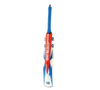 Gray-Nicolls Havoc 1.0 Blast Junior Kashmir Willow Cricket Bat (H)