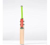 Gray Nicolls Havoc 1.3 Thunder Willow Junior Cricket Bat