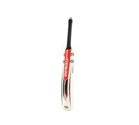 Gray-Nicolls Imperia 1.0 GN350 Junior English Willow Cricket Bat (6)