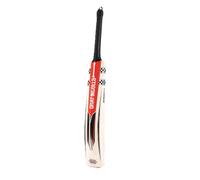 Gray-Nicolls Imperia 1.0 GN450 Junior English Willow Cricket Bat (6)
