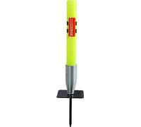 Gray-Nicolls Intermediate Cricket Accessories Target Stump Half Size 14inch