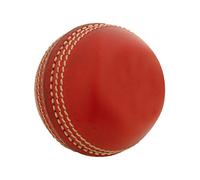 Gray-Nicolls Mini Leather Cricket Ball - Red
