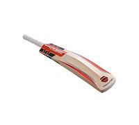 Gray Nicolls Predator 3 Halestorm Cricket Bat (2017) - Short Handle, 2lbs 9oz