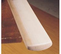 Gray-Nicolls Protectoe Cricket Bat Toe Guard