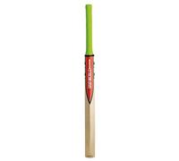 Gray Nicolls Technique Cricket Bat (6)