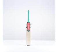 Gray Nicolls Ventus 1.0 Warrior KW Junior Cricket Bat Green