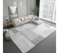 Gray Nordic Area Rug for Living Room & Bedroom Large Coffee Table Mat Stylish Decorative Carpet 60x150 cm / 24x59 inchesSoft Modern Design for Home Décor