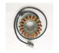 Gray Plug Stator Big Power Stator 114MM Fit For Dominator X2 X4 UTV 800 1000 Raider 21040109704