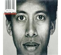 Gray Race by Bad Religion