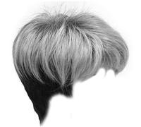 Gray Wig, 10.24 Inch Gradient Gray Wigs, Natrual Comfortable Short Wigs for Women, Soft High Temperature Fiber Wig with Bangs, Short Hair for Women and Girls.
