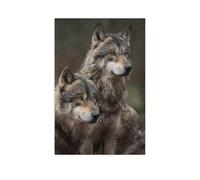 Gray wolf pack in the forest，1000 Pcs Adults Jigsaw, Classic Educational Game Toys Home（75x50cm）-AR34