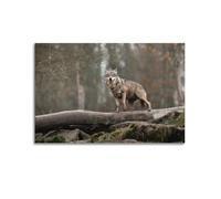 Gray Wolf Wildlife Photography Poster Winter Forest Snowy Wilderness Pine Landscape Decorative Canvas Family Bedroom Artwork Picture Painting 20x30inch(50x75cm)