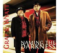 Gray & Wyatt - Naming The Darkness