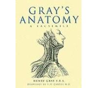 Grays Anatomy