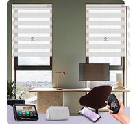 Grayswind Customized Smart Zebra Blinds, Dual Layer, Rechargeable Electric Day Night Blinds, Alexa & Google Compatible, Privacy Protection, White