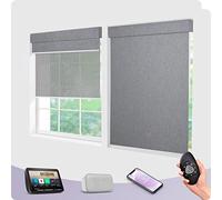 Graywind Customized Smart Dual Roller Blinds, Blackout & Solar Motorized Double Blinds, Rechargeable Electric Roller Blinds Remote Control Compatible With Alexa Google, Light Grey & 3% Openness Silver