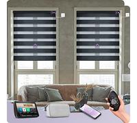 Graywind Electric Smart Zebra Blinds, 100% Blackout or Translucent Dual-Layer Privacy Control, Motorised Day Night Blinds, Made to Measure, Hardwired with Remote, Alexa Google Compatible, Charcoal