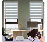 Graywind Smart Zebra Blinds, Blackout & Sheer Blend Dual Layer, Electric Day Night Blinds Compatible with Alexa Google, Privacy Protection Motorized Window Covering with Rechargeable Motor, Grey