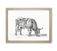 Grazing Bull By Jean Bernard Vintage Framed Wall Art Print, Ready to Hang Picture for Living Room Bedroom Home Office Décor, Oak A2 (64 x 46 cm)