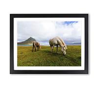 Grazing Horses landscape Modern Framed Print | A4 Black Framed Wall Art | Ready to Hang | Modern Animal Picture | Living Room Bedroom Lounge Office