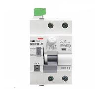 GRD9L-R 6KA ELCB RCCB Automatic Reclosing Device Circuit Breaker 2P 4P 40A 63A 30mA 100mA 300mA RCD AC Type 1Pcs(2P 40A 100mA RCCB AC,-DC24-48V)