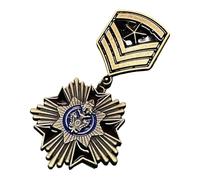 Greabuy Antique Enthusiast Badge Historical Value Collectible Emblems Badge Metal Pin for Clothes