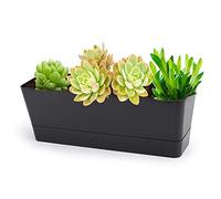GREANER 12x3.8 Inch Herb Planters, 1 Pack Rectangle Window Boxes with Tray, Indoor Succulent Cactus Mint Plastic Pot for Windowsill, Balcony, Office, Outdoor Garden - Black