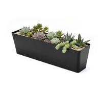 GREANER Flower Boxes with Removable Trays and Drainage Holes, 1PCS 16x3.8 Inch Herb Planter, Succulent Flower Rectangle Plastic Pot for Balcony, Office, Windowsill, Garden, Indoor Outdoor Use - Black