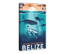 Great Barrier Reef Underwater Tropical Island Canvas Poster Bedroom Decor Landscape Office Room Decor Gift 08x12inch(20x30cm)