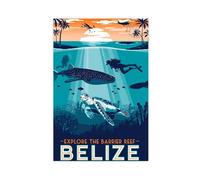 Great Barrier Reef Underwater Tropical Island Canvas Poster Wall Art Decor Print Picture Paintings for Living Room Bedroom Decoration 20x30inch(50x75cm)