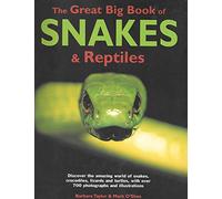 Great Big Book Snakes & Reptiles