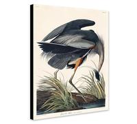 Great blue Heron (1834) by John James Audubon - Wrapped Framed Canvas Wall Art (A1 [32 x 24 inch / 81 x 61 cm])