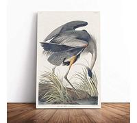 Great Blue Heron by John James Audubon | Canvas Wall Art Print | Framed & Ready to Hang Picture | Modern Home Decor for Living Room, Bedroom, Kitchen or Office | 30x20 Inches