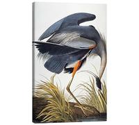 Great Blue Heron Canvas print by John James Audubon 20 x 30 cm Wall art Wall decor