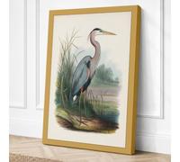 Great Blue Heron Vintage Canvas Wall Art Print 30x20 Inch (76 x 51 cm)