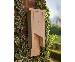 Great British Bat Box