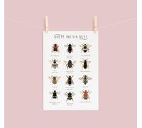 Great British Bees Bumblebee Bee Poster Bee Identification Chart British Bees Insect Types Of Bees Natural History Funny Gift Metal Signs 8X12 Inch